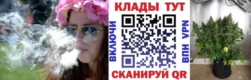 Как найти наркотики Нижний Новгород Метадон  Alpha PVP  Меф  Бошки Шишки  КОКАИН  ГАШИШ 